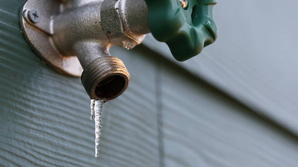 Best Clogged Drain Plumber  in Nederland, TX